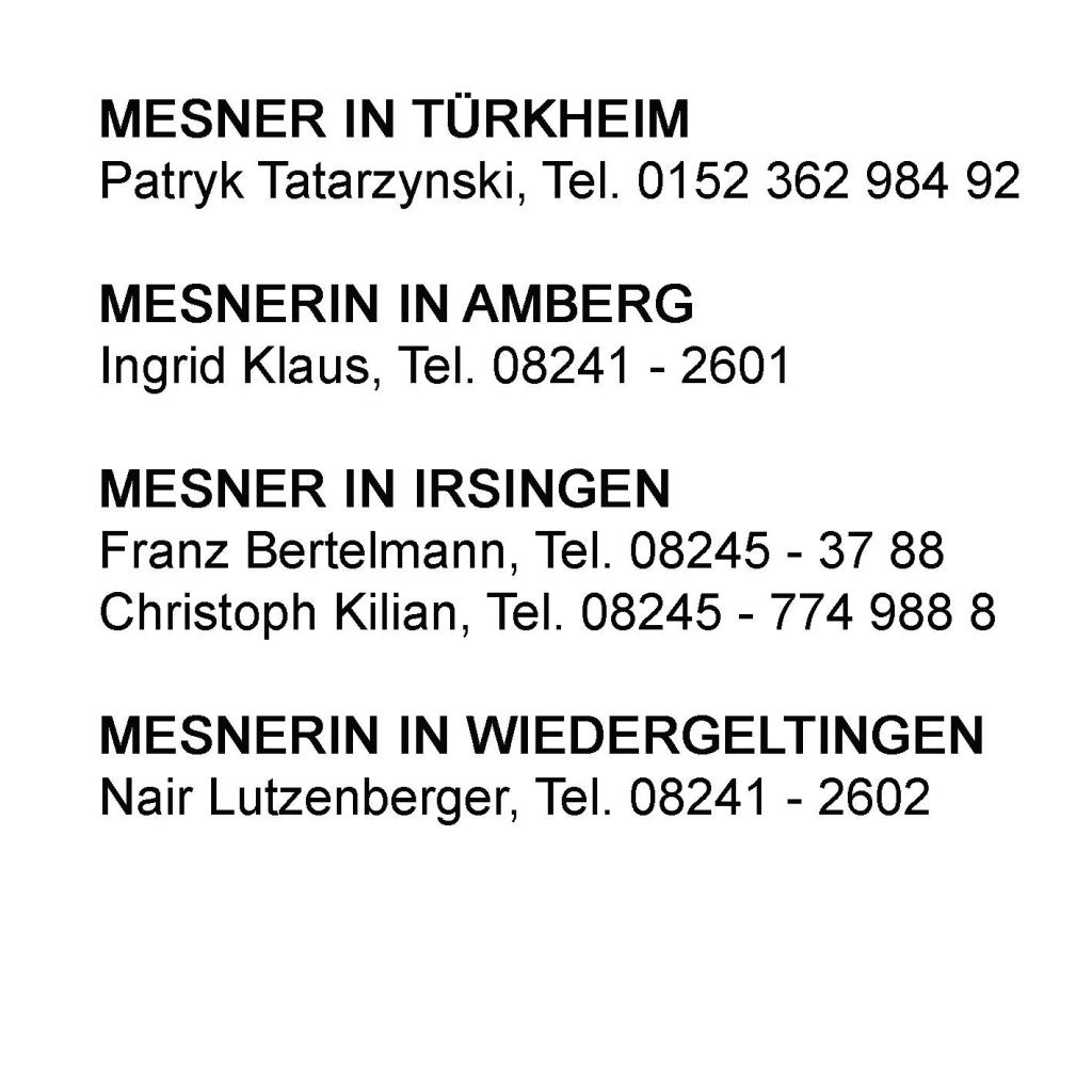 Text-Mesner-web