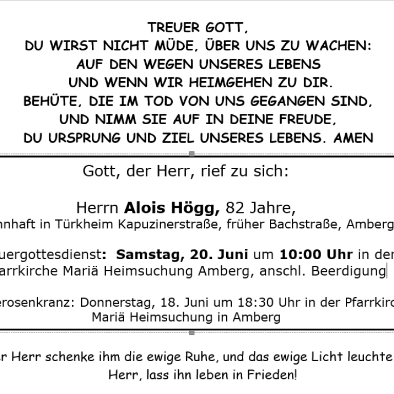 Aushang Alois Högg, Am