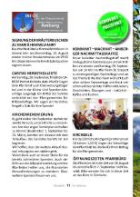 2025 Pfarrbrief Aug Sept web_Seite_11